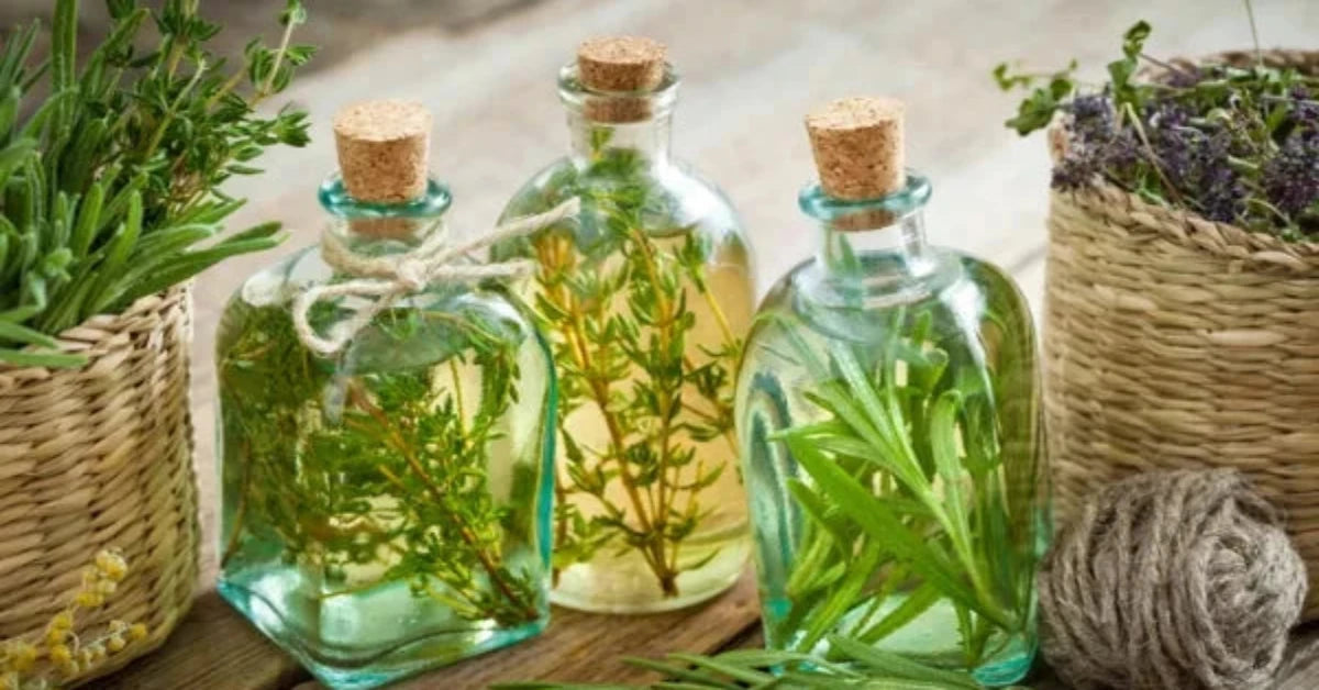 aceite de romero caida perdida cabello ingredientes 